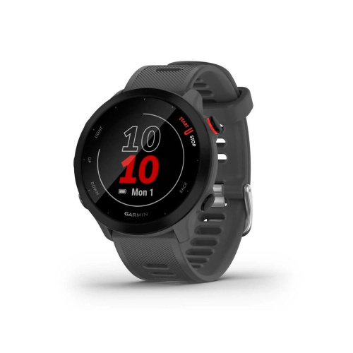 Мультиспортивные часы Garmin ForeRunner 55 Montera Grey