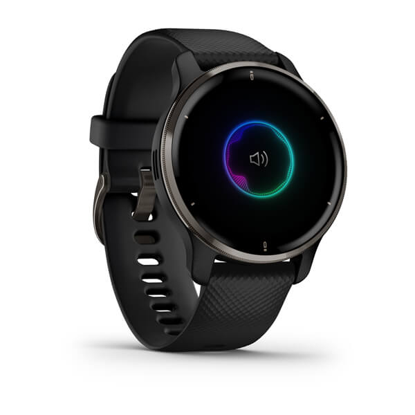 Мультиспортивные часы Garmin Venu 2 Plus Black