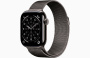 Apple Watch S11 46mm Slate Titanium / Slate Milanese loop M/L