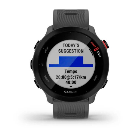 Мультиспортивные часы Garmin ForeRunner 55 Montera Grey