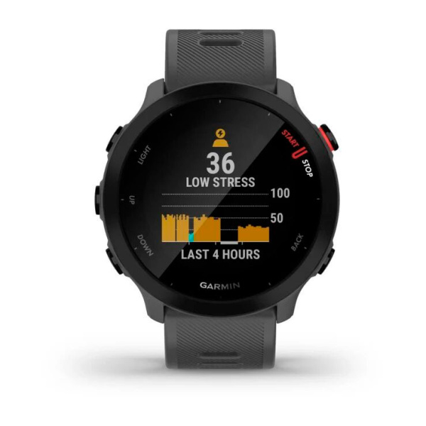 Мультиспортивные часы Garmin ForeRunner 55 Montera Grey