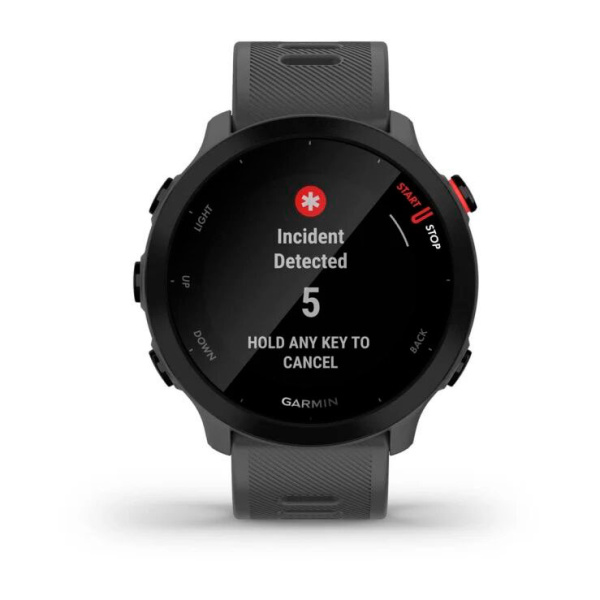 Мультиспортивные часы Garmin ForeRunner 55 Montera Grey