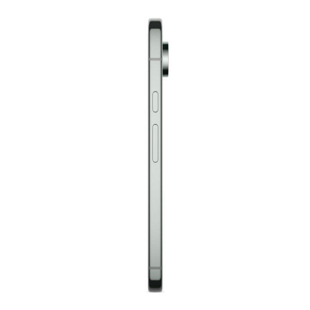 Google Pixel 9 Pro XL, 256 ГБ, Hazel (Орешник)