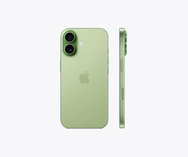 Apple iPhone 17, 256 GB, Sage (зеленый)