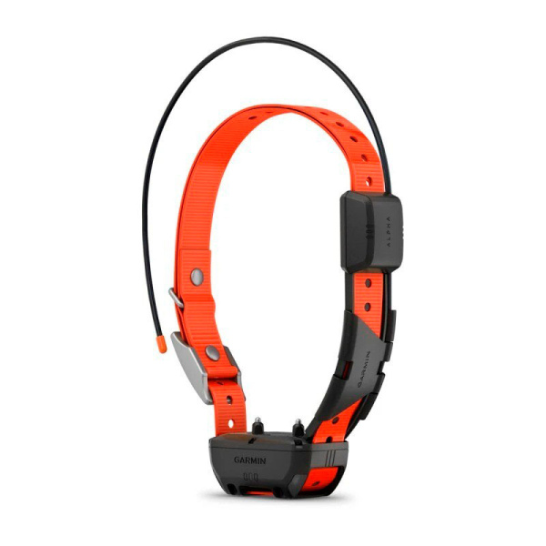 Ошейник Garmin Alpha TT 25 Dog Collar