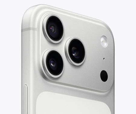 Apple iPhone 17 Pro Max, 256 GB, Silver (серебристый)