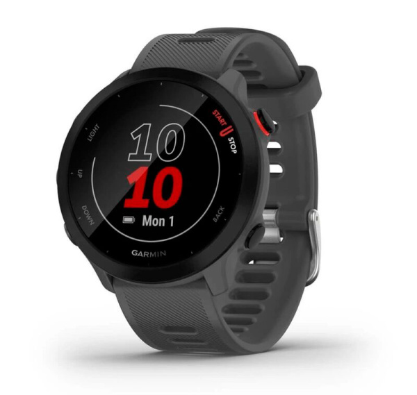 Мультиспортивные часы Garmin ForeRunner 55 Montera Grey