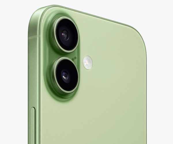 Apple iPhone 17, 256 GB, Sage (зеленый)